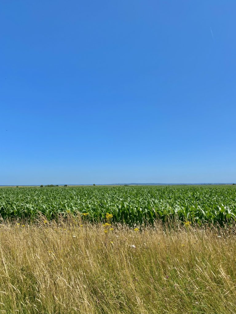 Camping du Mont-Saint-Michel