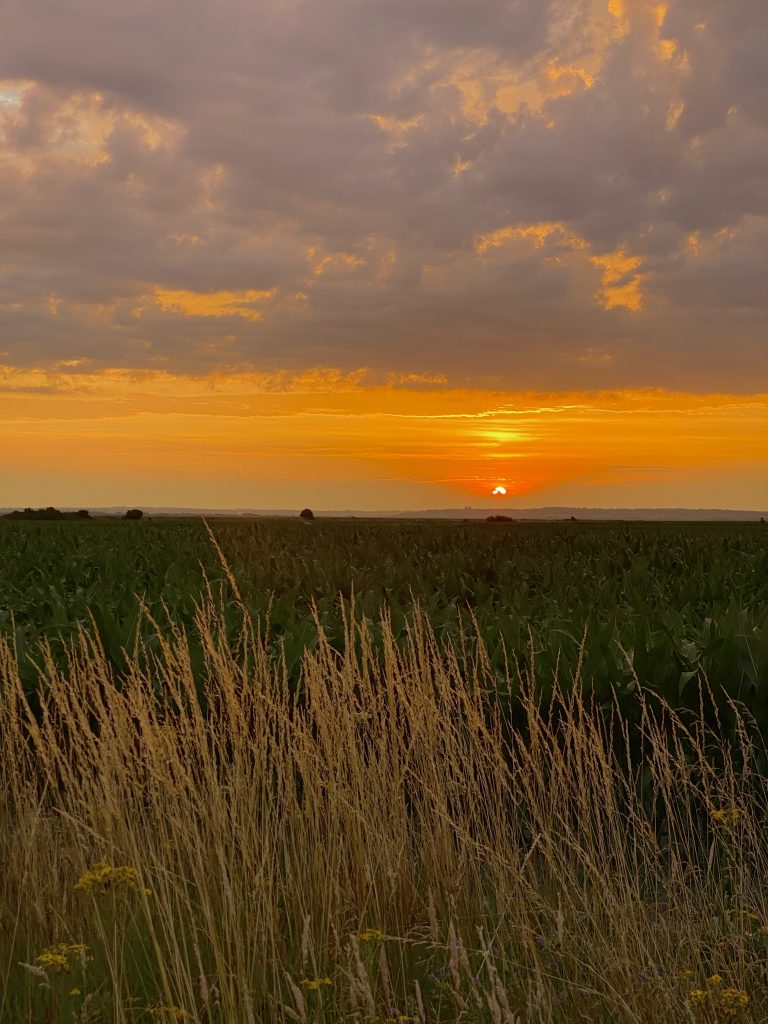 Lever de soleil au Mont-Saint-Michel, Mont-Saint-Michel sunrise